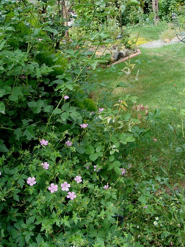 f0170524_17565080.jpg