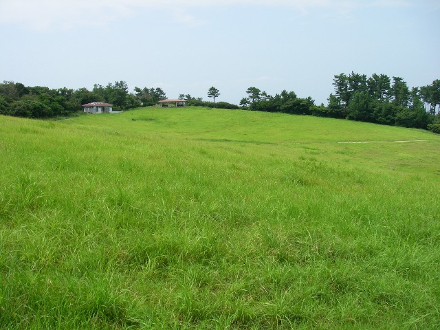 f0000330_1751261.jpg