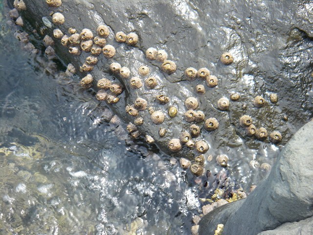 f0000330_18132872.jpg