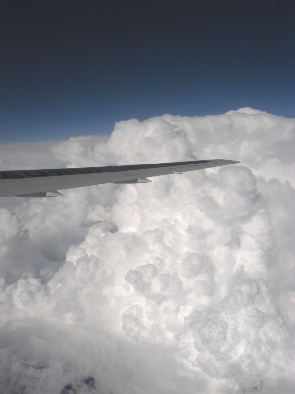 d0055635_22393963.jpg