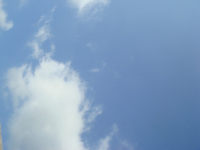 d0097644_1649178.jpg