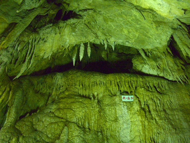 b0039246_21261396.jpg