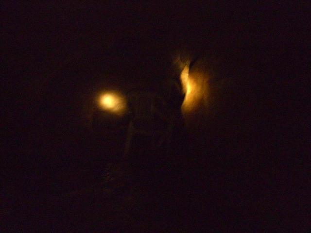 b0039246_21263558.jpg