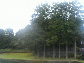 e0006772_22183416.jpg
