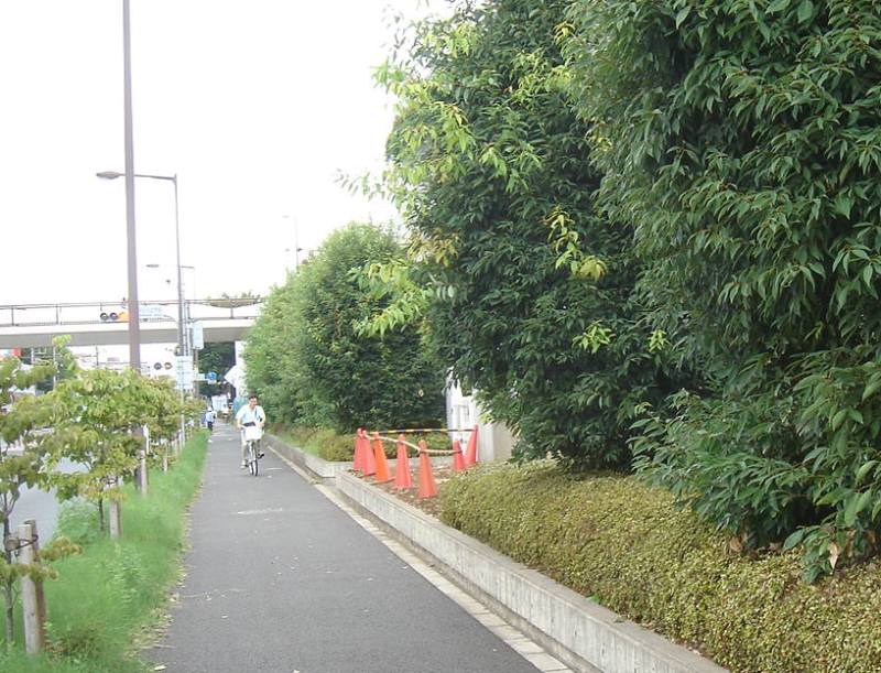 f0059673_1859768.jpg