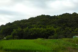 b0154786_21534320.jpg