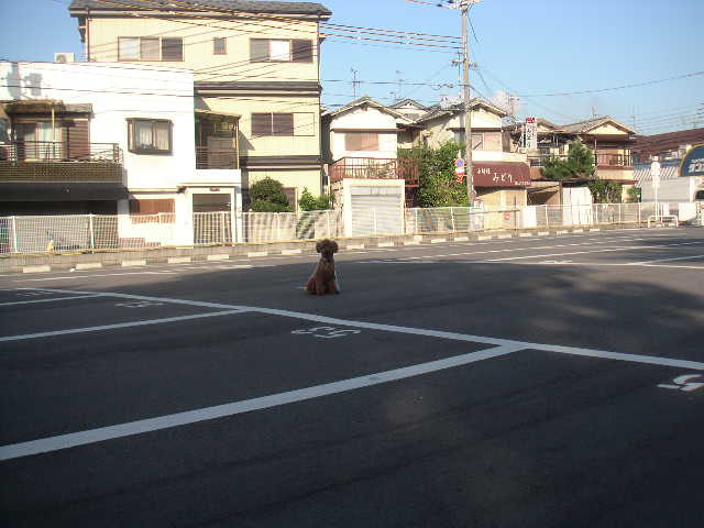 c0173896_8204181.jpg