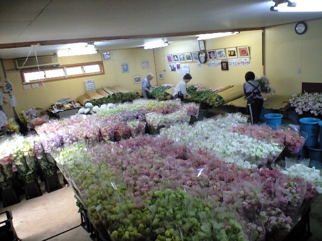 いつ減るのやら…_d0099708_14375611.jpg