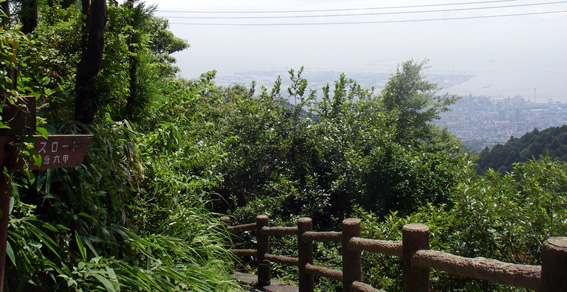 08.08.26(火) アントニオ猪?_a0062810_19422853.jpg