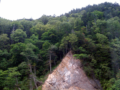 a0055913_22573174.gif