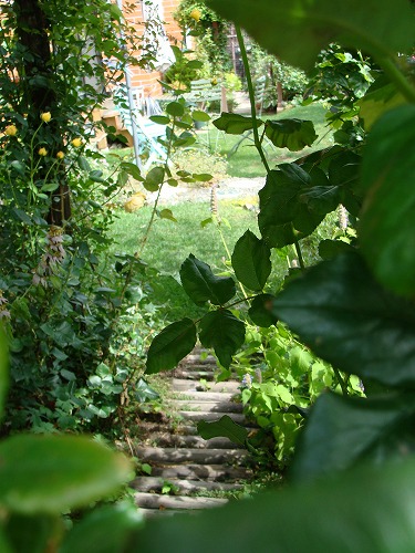 f0170524_15134348.jpg