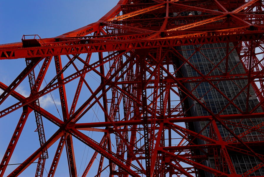 夏の思い出　東京タワー_e0037126_011897.jpg