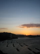 c0113733_0205355.jpg