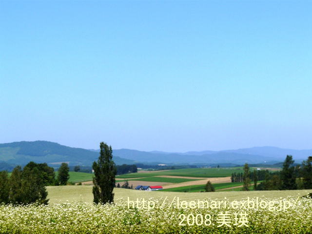 2008.8北海道☆美瑛富良野一日目_d0020443_2231837.jpg