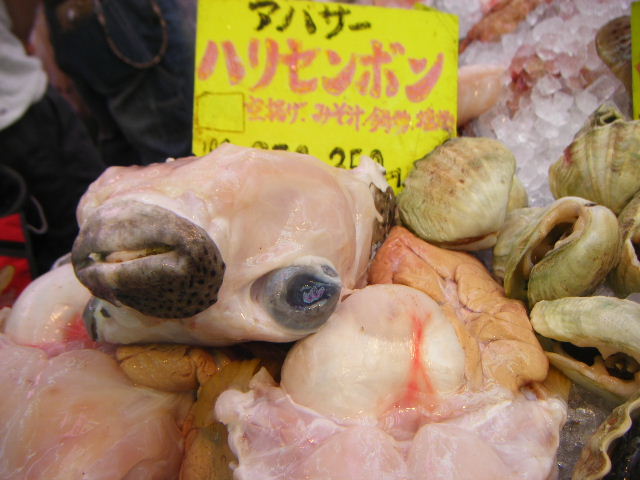 沖縄の魚を食す　沖縄_c0148362_21351731.jpg