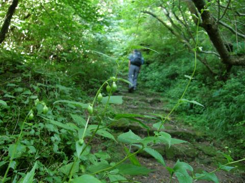 秋は山から～(*^^*)_c0042869_18222364.jpg