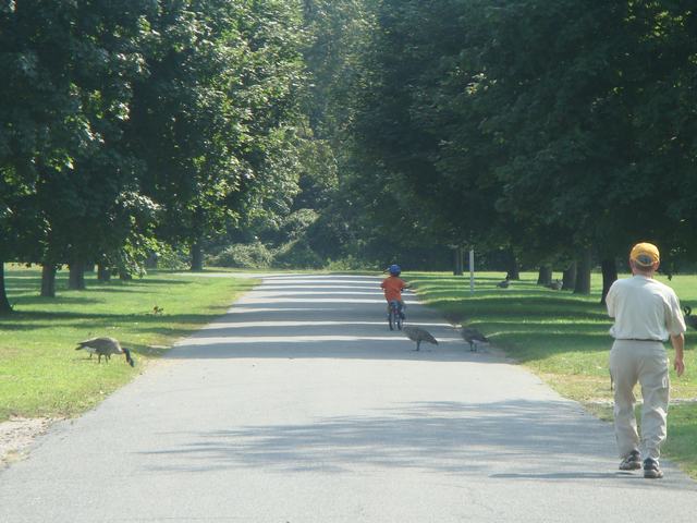 d0100880_10345546.jpg