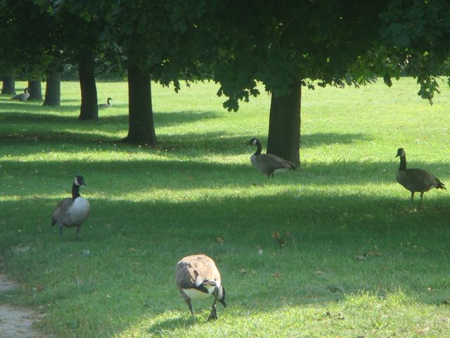 朝食の後は、山の上の公園へ、_d0100880_10355479.jpg