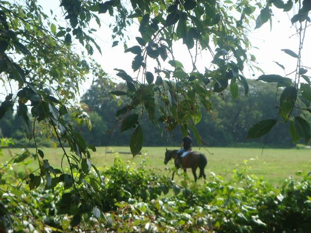 朝食の後は、山の上の公園へ、_d0100880_1036252.jpg