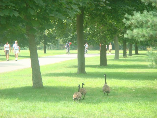 朝食の後は、山の上の公園へ、_d0100880_10465579.jpg