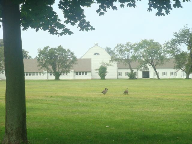 朝食の後は、山の上の公園へ、_d0100880_10475627.jpg