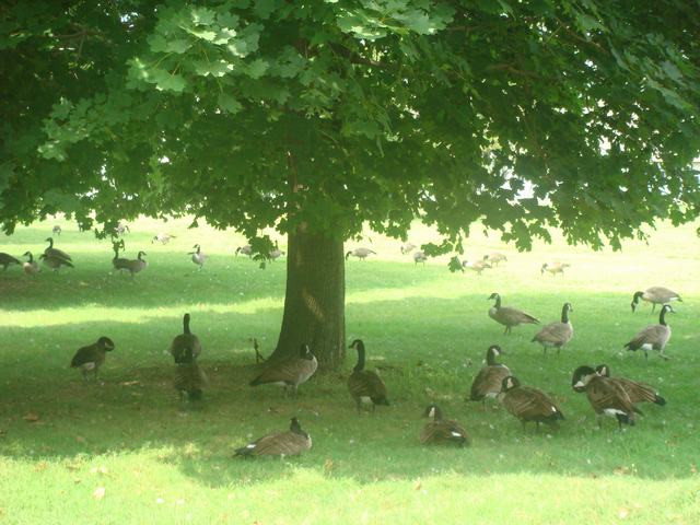 朝食の後は、山の上の公園へ、_d0100880_10482996.jpg