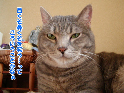 くだんのごとし コロクとフクスケ くだんのごとし コロクとフクスケ