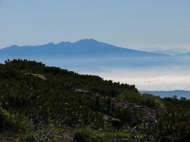 加賀白山の花　その１_e0145782_114955100.jpg