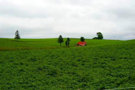 北海道・撮影旅行！_d0025894_232122.jpg