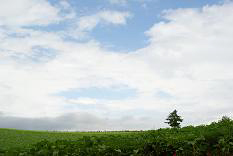 d0025894_2337055.jpg