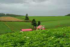 d0025894_2394830.jpg