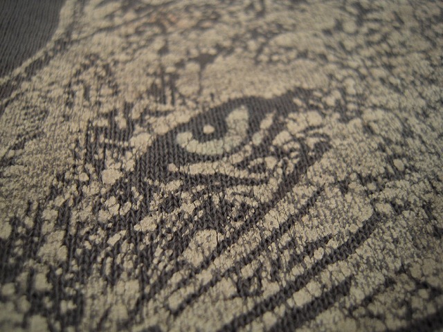 ニャン?ガォ~?_d0121303_1326507.jpg