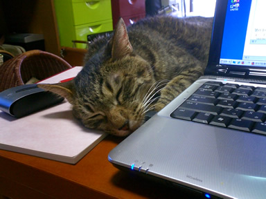 b0083708_031013.jpg