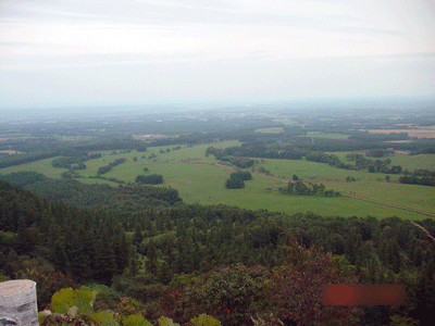 a0055913_21132736.gif