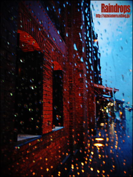 雨しずく_f0100215_2354434.jpg
