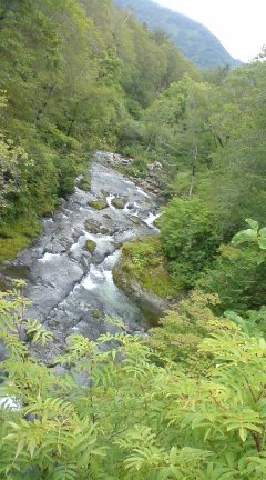 Green♪Green♪_f0126121_23412137.jpg