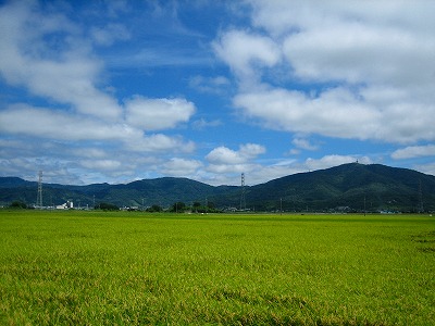 青空が嬉しくて_b0100229_142362.jpg