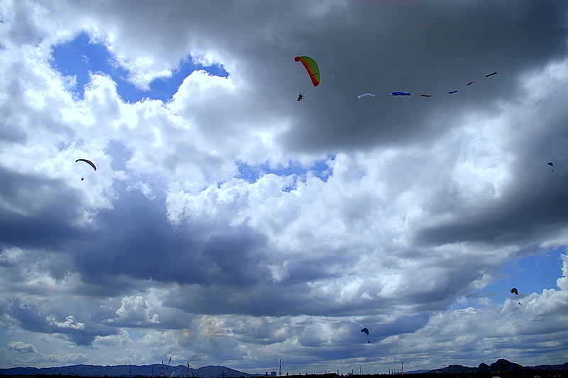 ひまわりカーニバル４　雲編_c0045129_1241838.jpg