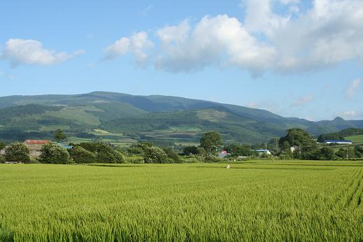 知床キャンプ　ＮＯ５　　大沼流山温泉キャンプ場_b0085331_1050498.jpg