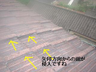 セメント瓦の雨漏り補修_f0031037_1752217.jpg