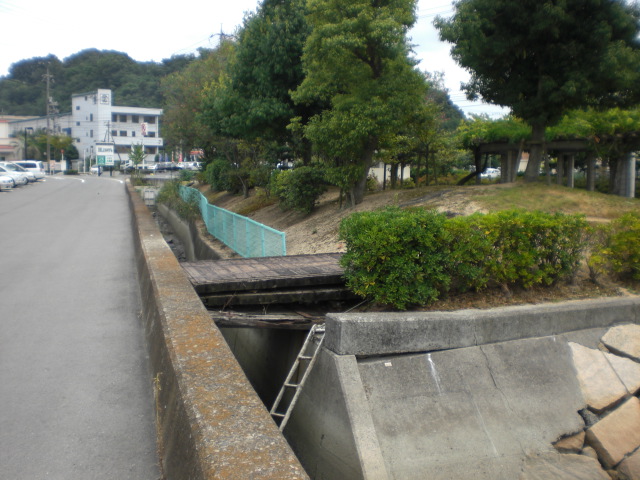 b0152548_17451813.jpg