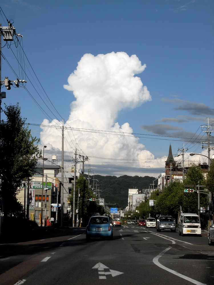 夏の風景_e0002951_11534913.jpg