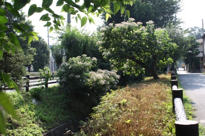 c0118352_2315242.jpg