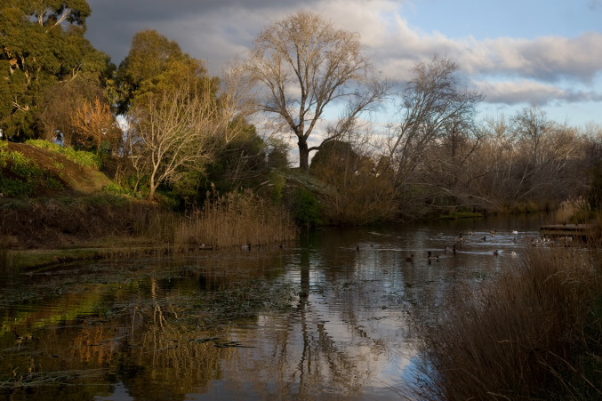f0137354_93261.jpg