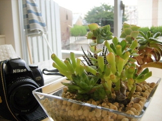 f0043559_13344563.jpg