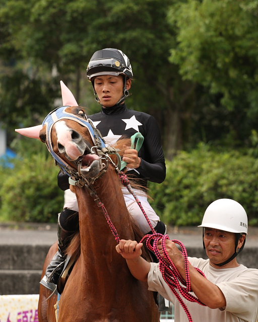 田中智子協賛 渡辺達郎大賞典特別_a0077663_18423563.jpg