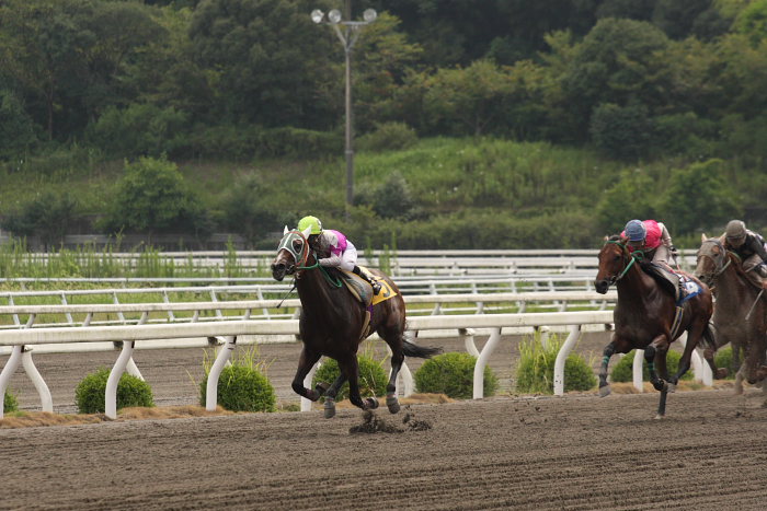 田中智子協賛 渡辺達郎大賞典特別_a0077663_18431725.jpg