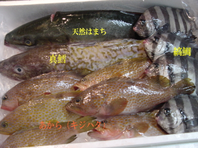 c0003064_15155914.jpg