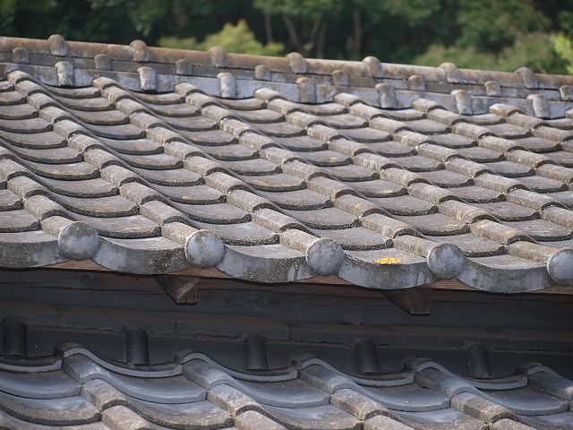 b0135573_10868.jpg