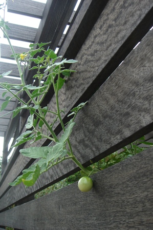 c0135480_034396.jpg